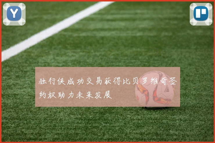 独行侠成功交易获得比贝罗维奇签约权助力未来发展